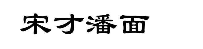 宋才潘面