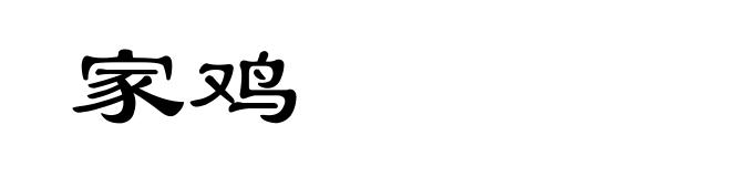 家鸡
