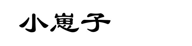 小崽子