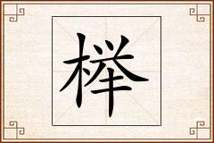 榉怎么写