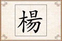 楊怎么写