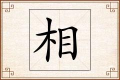 相怎么写