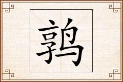 鹑怎么写