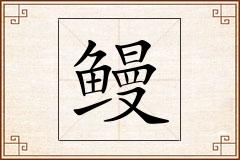 鳗怎么写