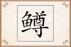 鳟怎么写