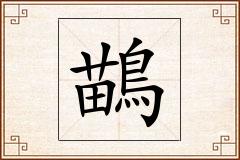 鶓怎么写