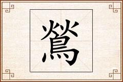 鶑怎么写
