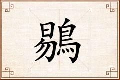 鶍怎么写