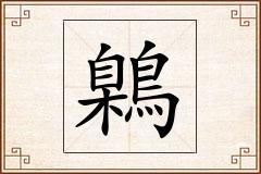 鷍怎么写