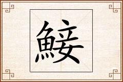 鯜怎么写