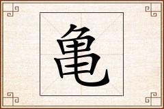 亀怎么写